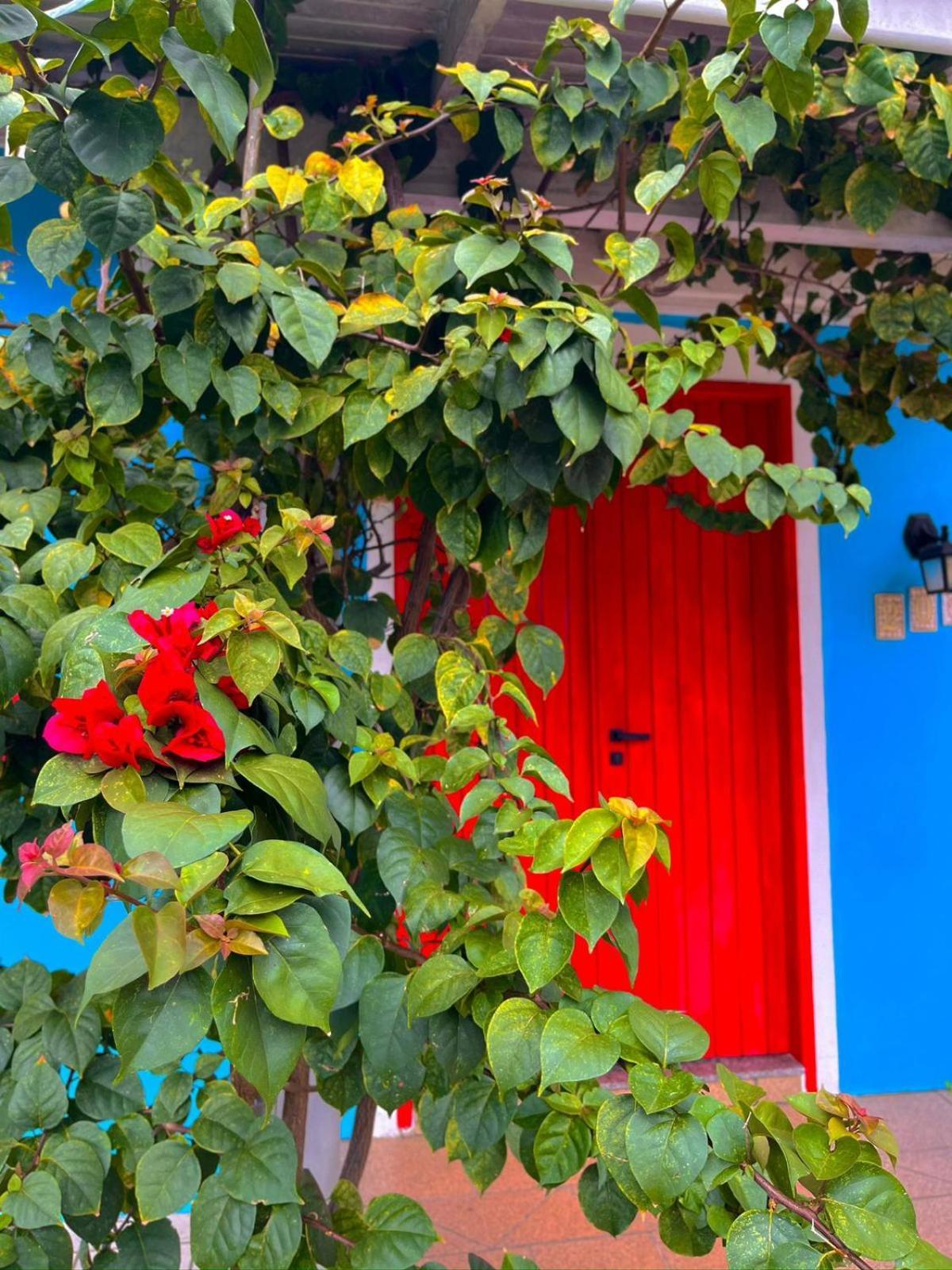 Pequi Hostel Florianópolis Exteriér fotografie