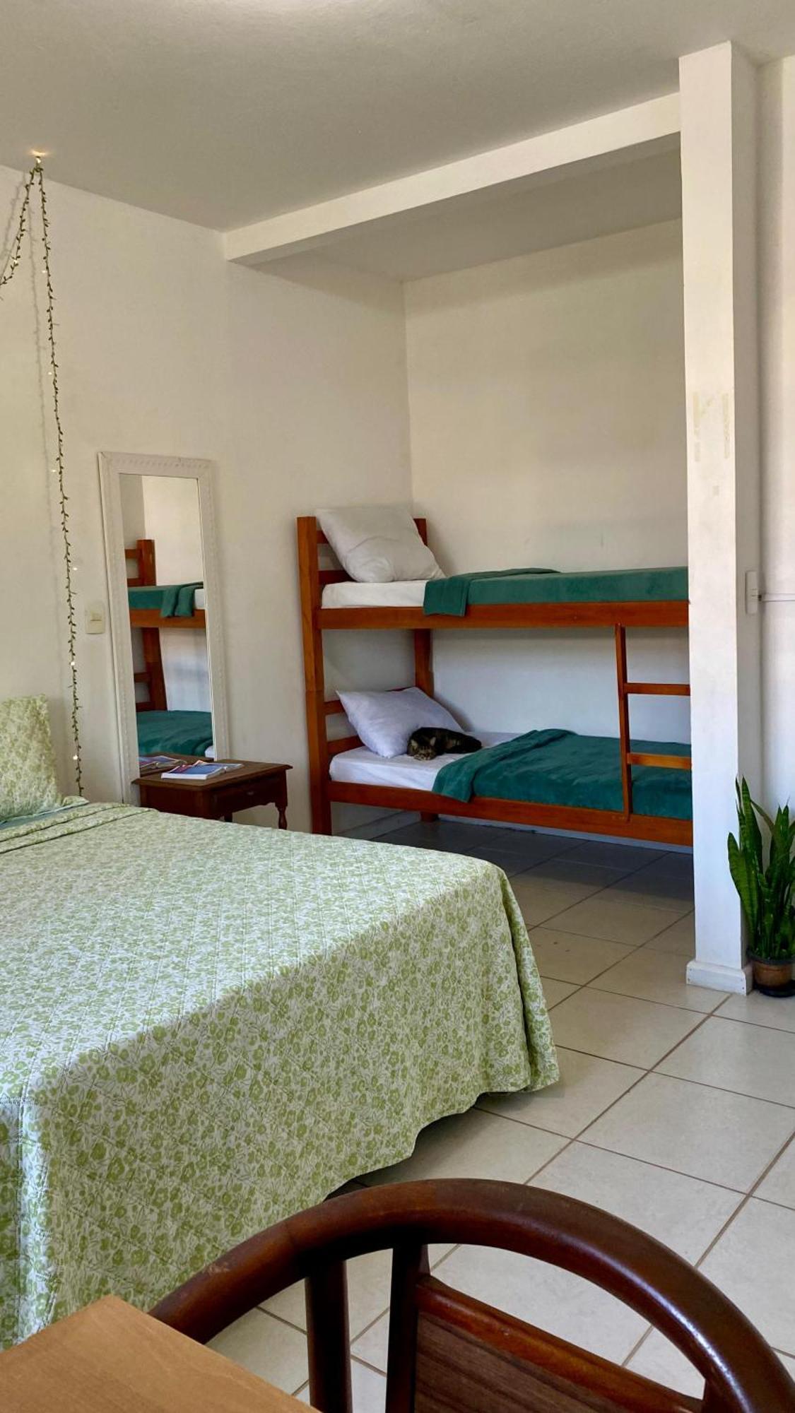Pequi Hostel Florianópolis Exteriér fotografie